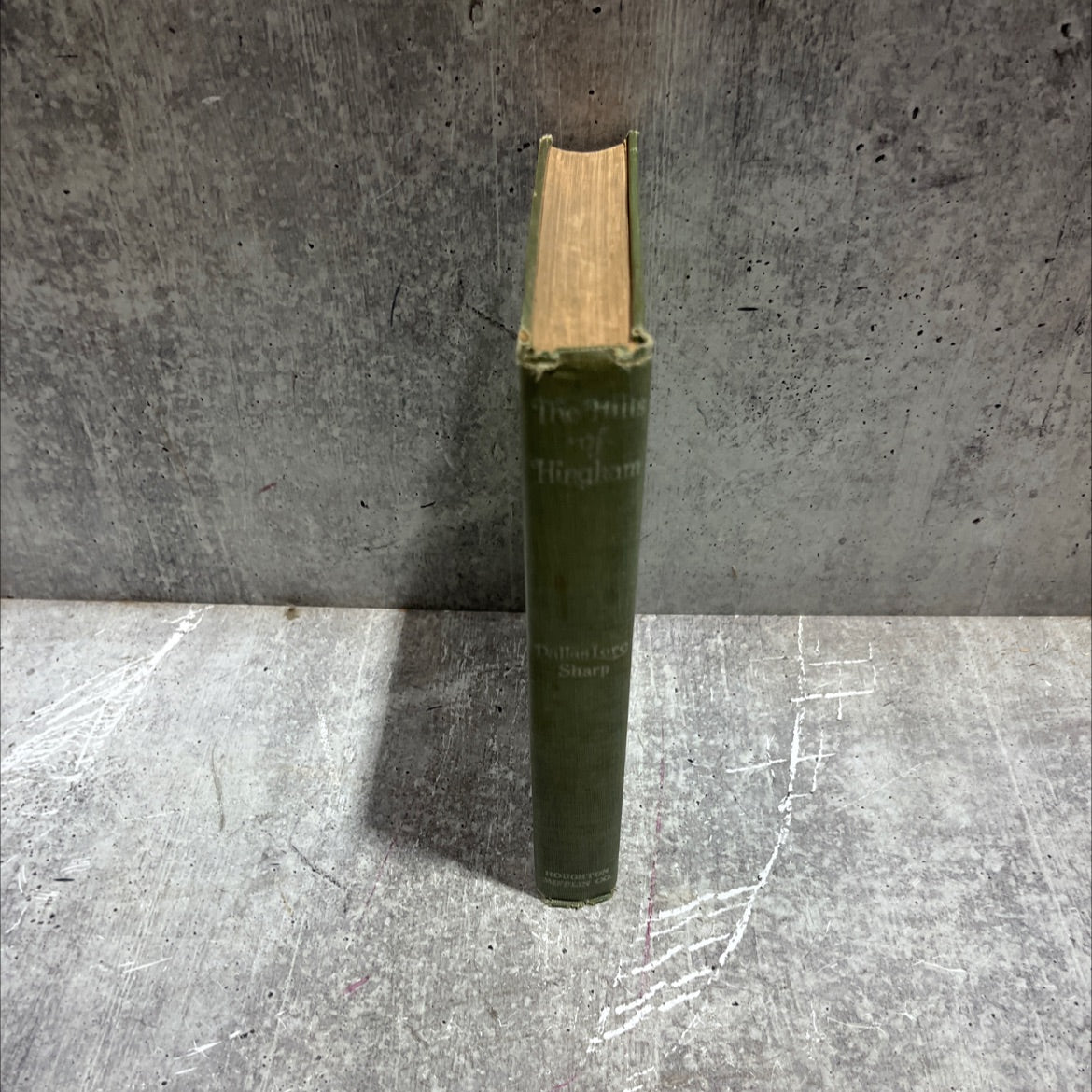 the hills of hingham book, by dallas lore sharp, 1916 Hardcover image 4