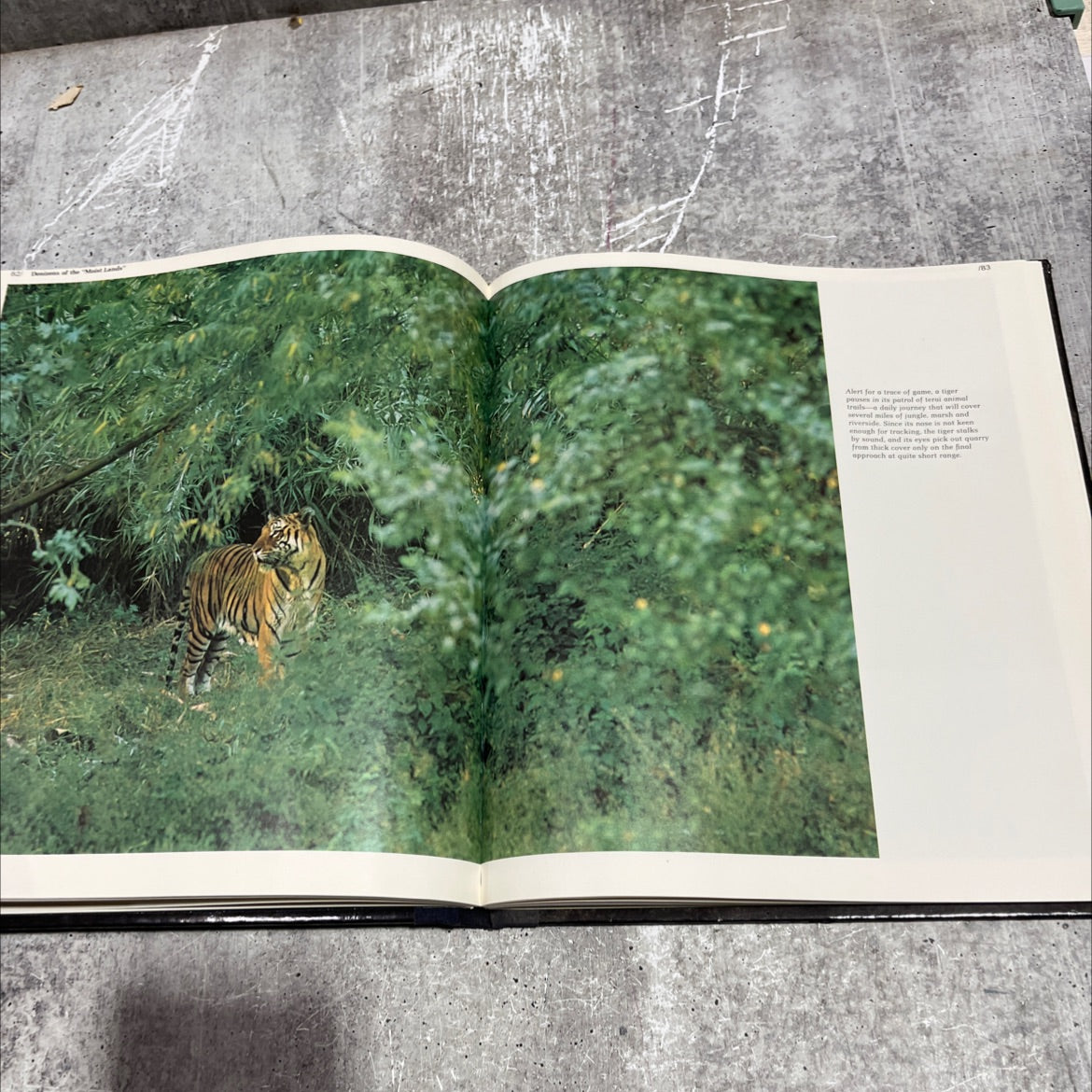 the himalayas the world's wild places book, by nigel nicolson, 1978 Hardcover image 4