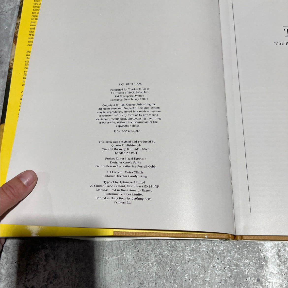 the history and techniques of the great masters bruegel book, by Penelope Le Fanu Hughes, 1989 Hardcover image 3