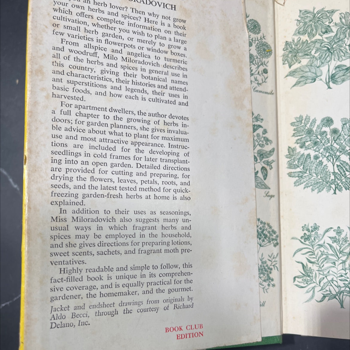 the home garden book of herbs and spices book, by Milo Miloradovich, 1952 Hardcover image 4