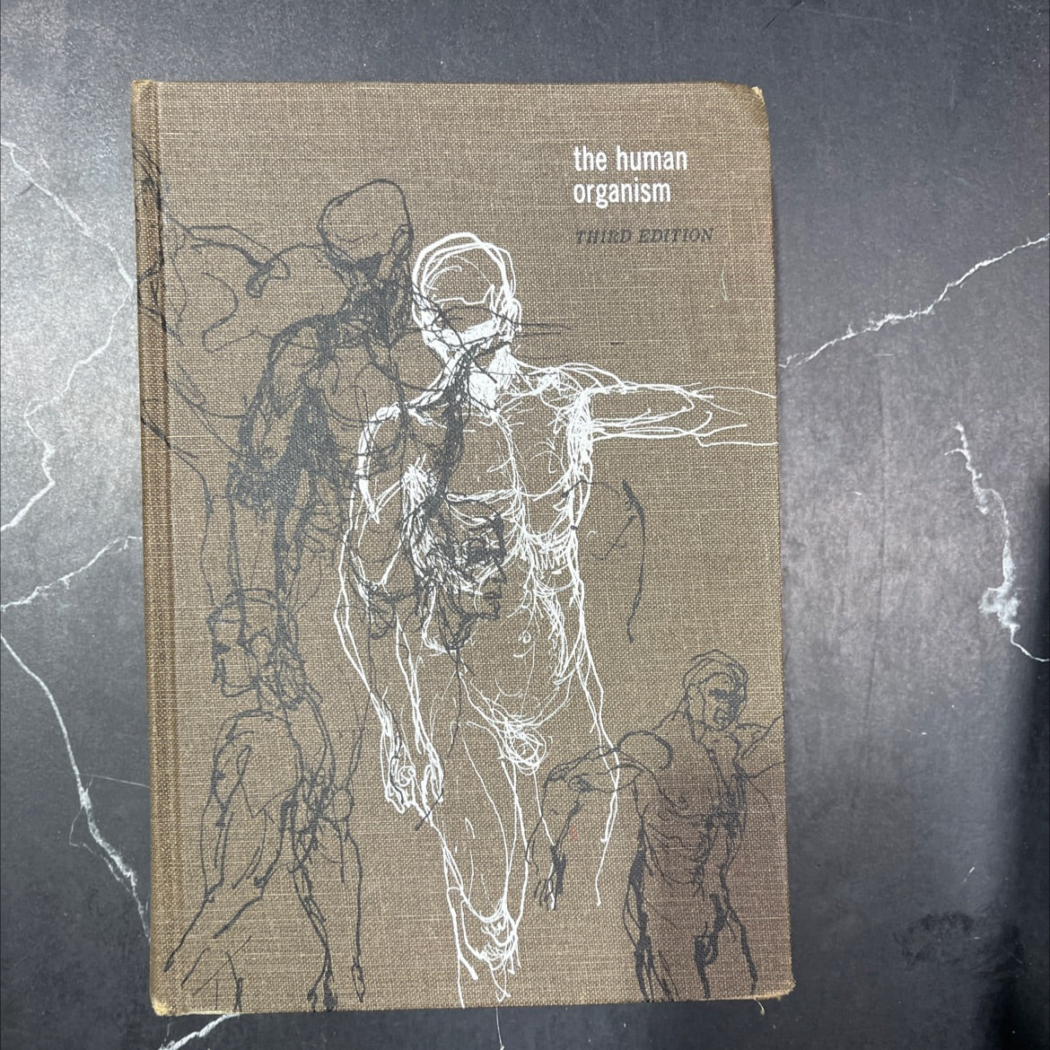 the human organism book, by russell myles decoursey, 1968 Hardcover image 1