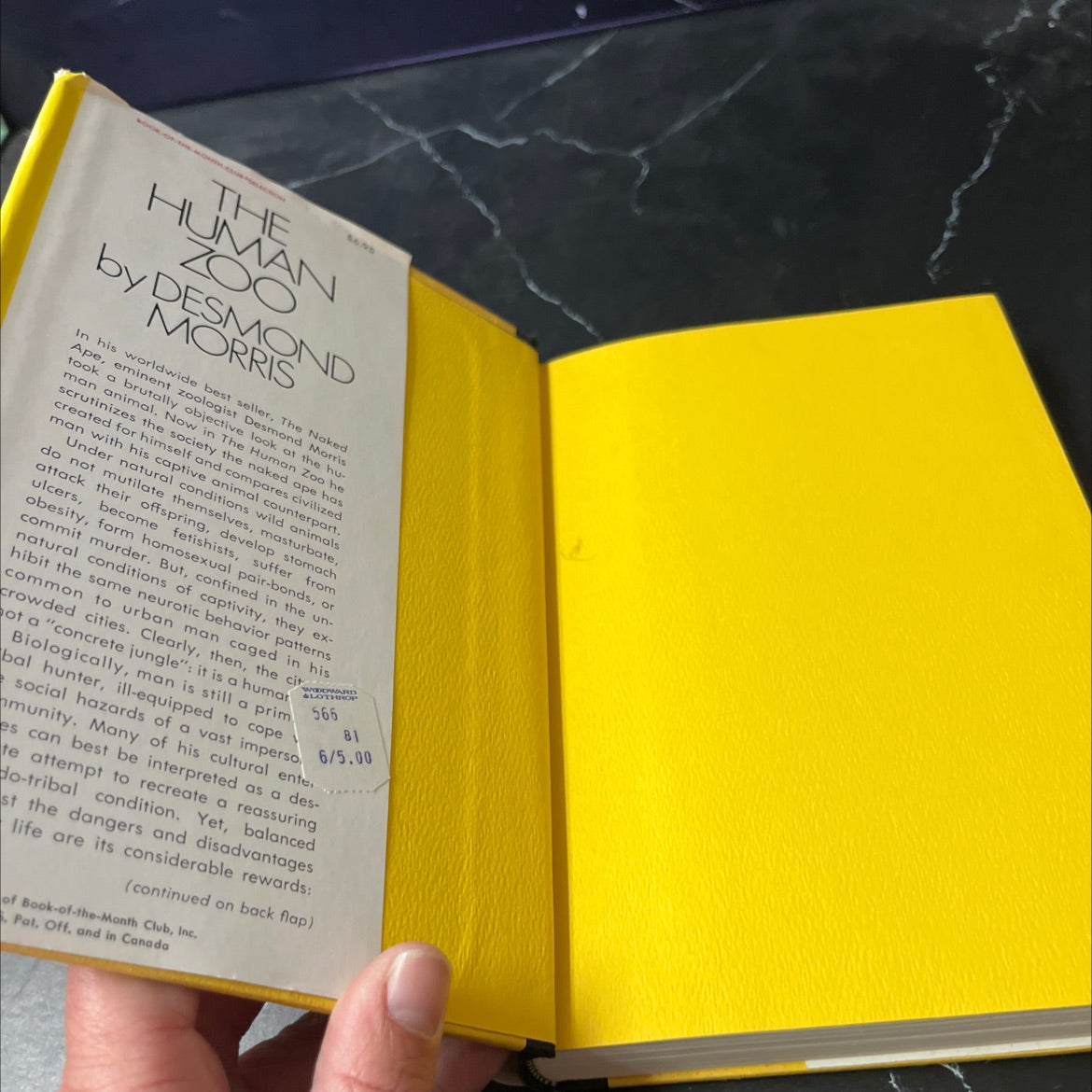 the human zoo book, by Desmond Morris, 1969 Hardcover image 4