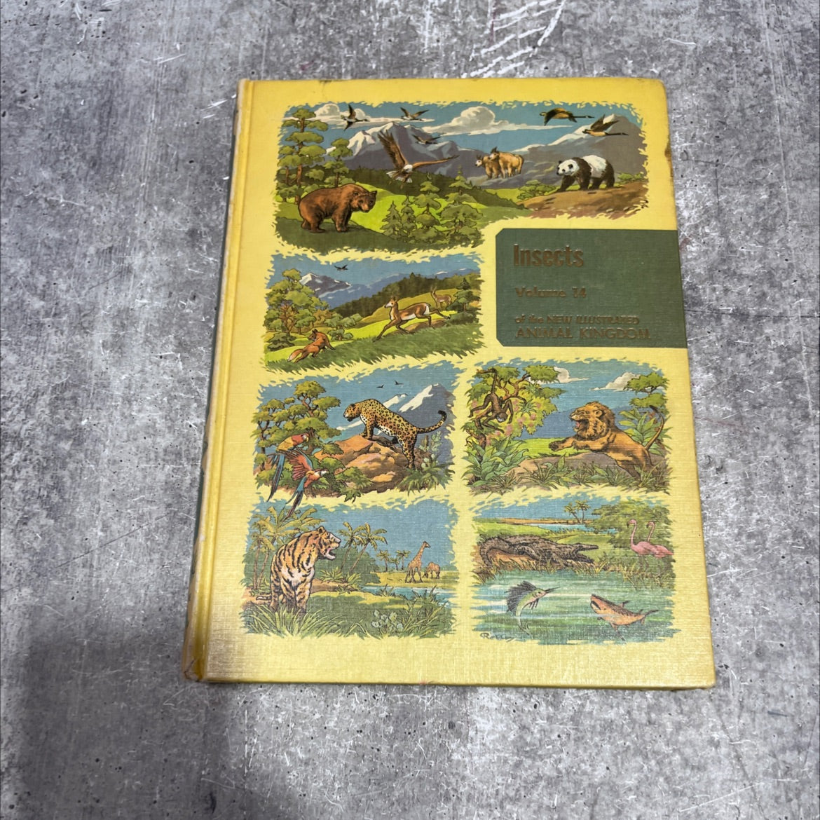 the illustrated encyclopedia of animal life the animal kingdom book, by frederick drimmer, m.a., 1961 Hardcover image 1