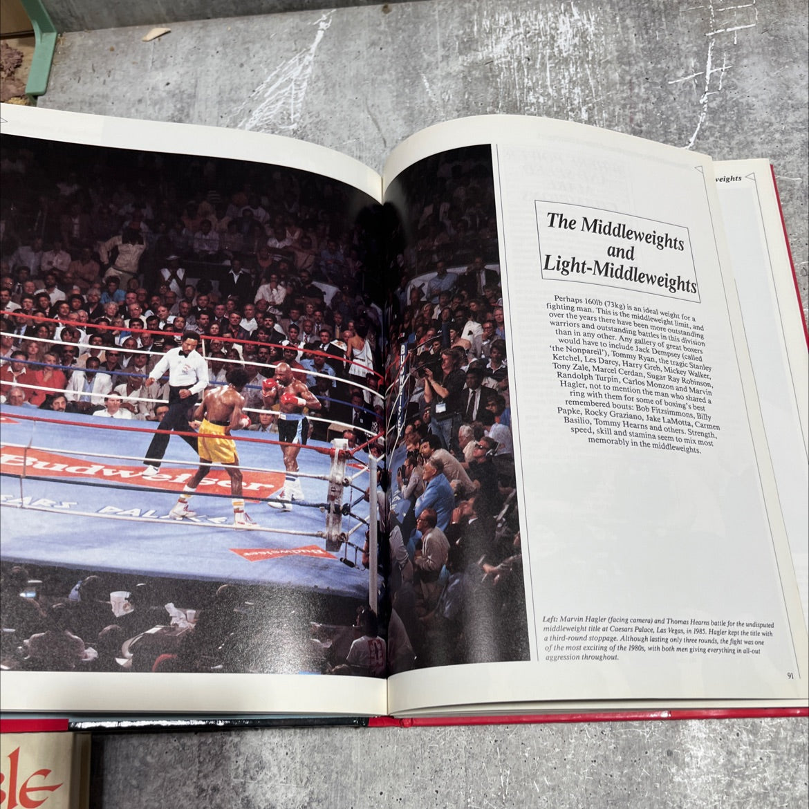 the illustrated encyclopedia of world boxing book, by Peter Arnold, 1989 Hardcover image 4