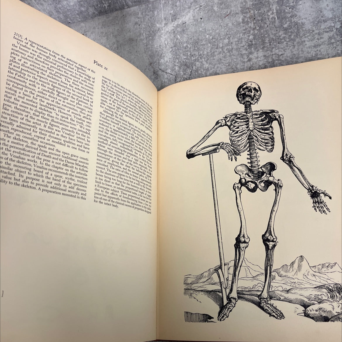 the illustrations from the works of andreas vesalius book, by j. b. de c. m. saunders, charles d. o'malley, 1950 image 4