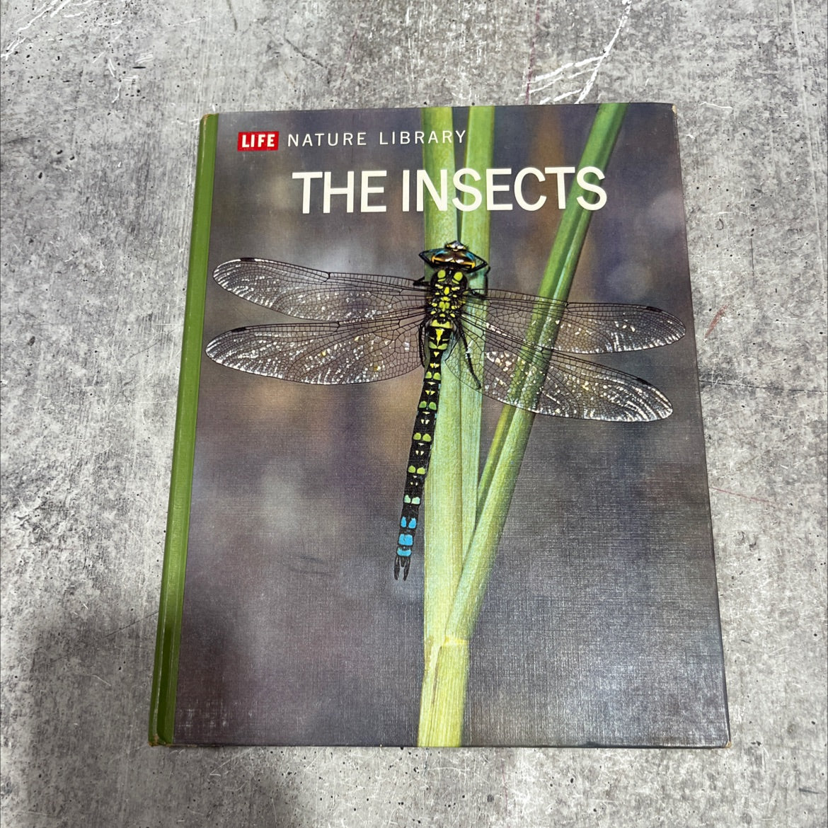 the insects book, by Peter Farb, 1962 Hardcover image 1