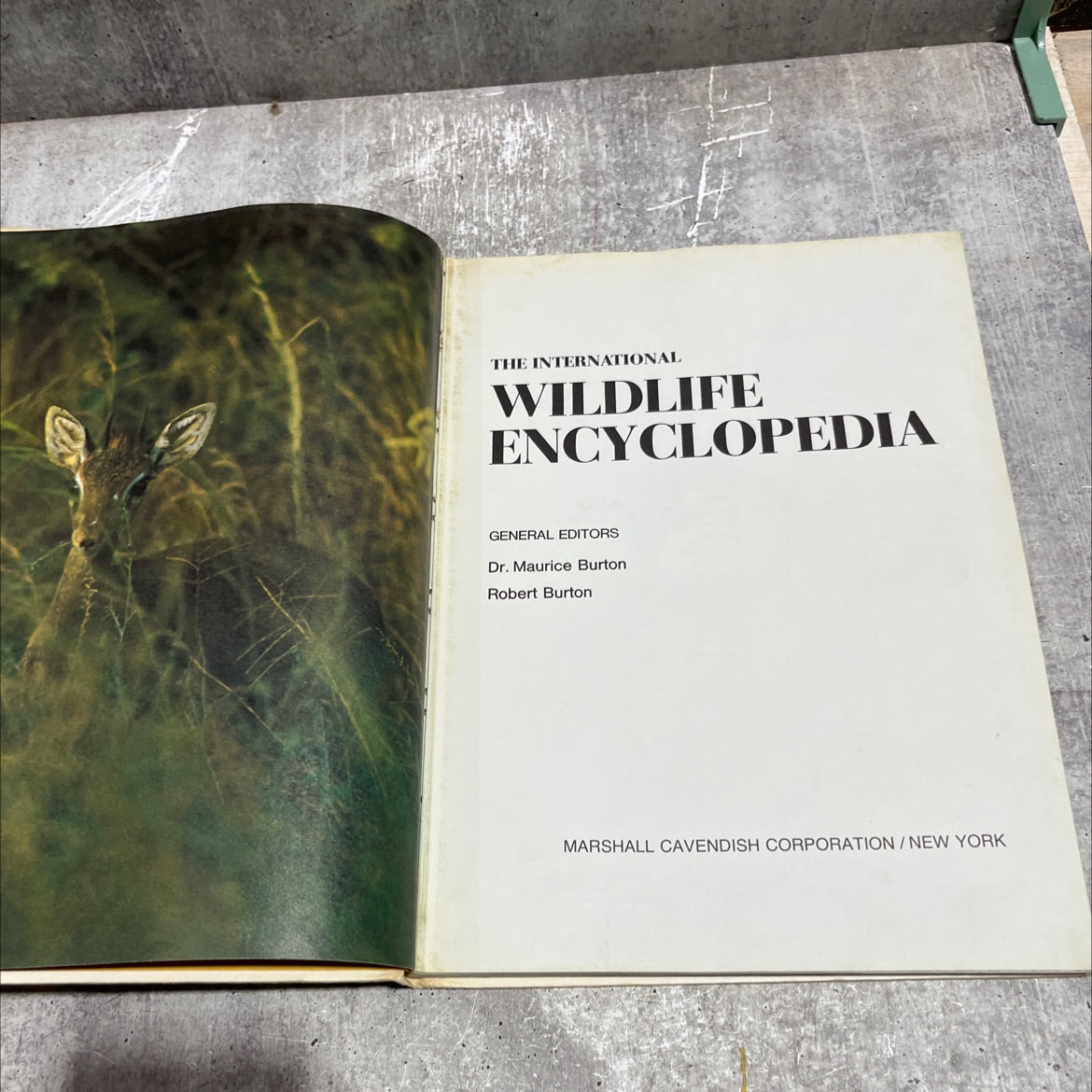 the international wildlife encyclopedia book, by dr. maurice burton, robert burton, 1969 Hardcover image 2