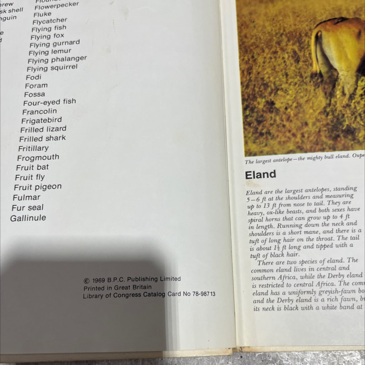 the international wildlife encyclopedia book, by dr. maurice burton, robert burton, 1969 Hardcover image 3