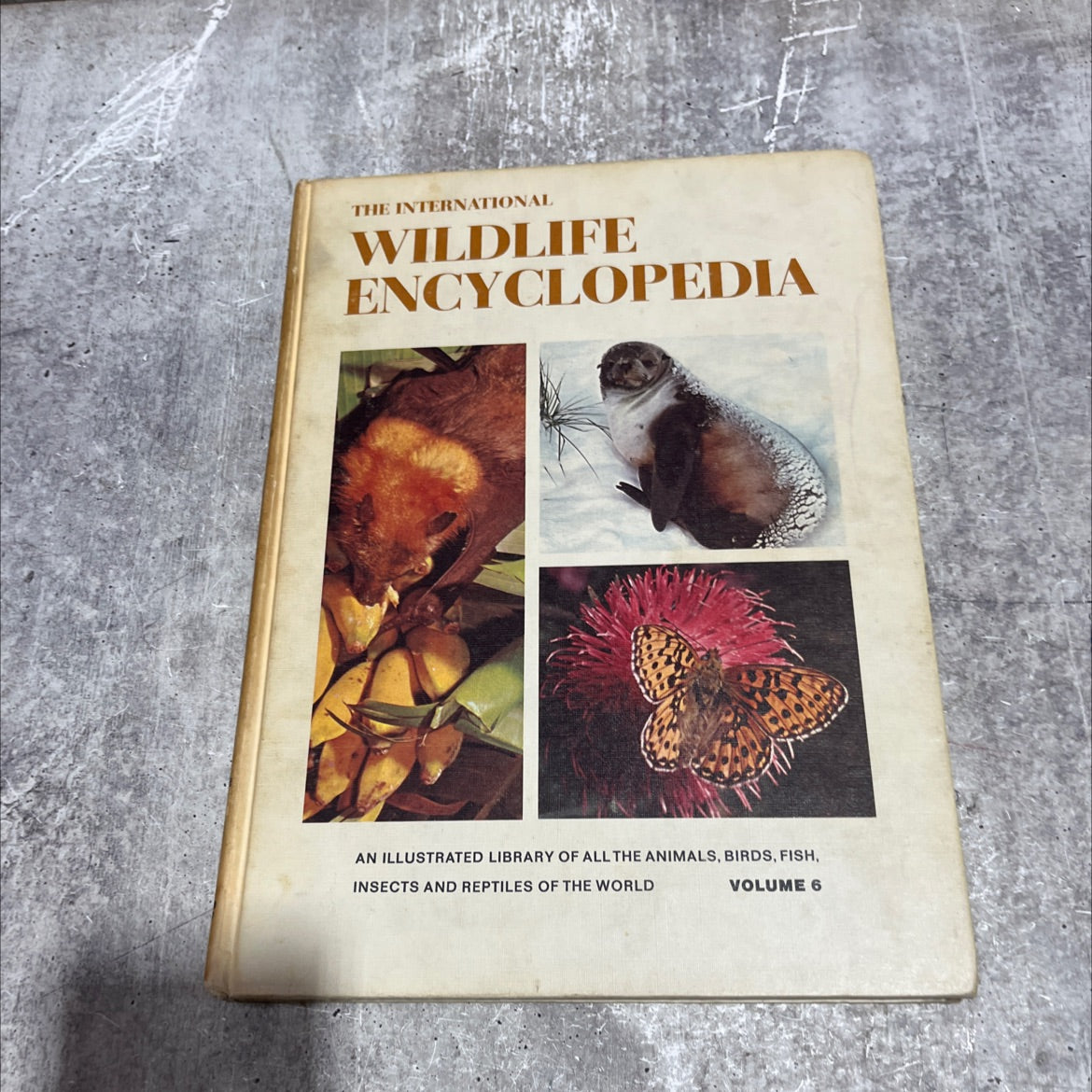 the international wildlife encyclopedia book, by dr. maurice burton, robert burton, 1969 Hardcover image 1