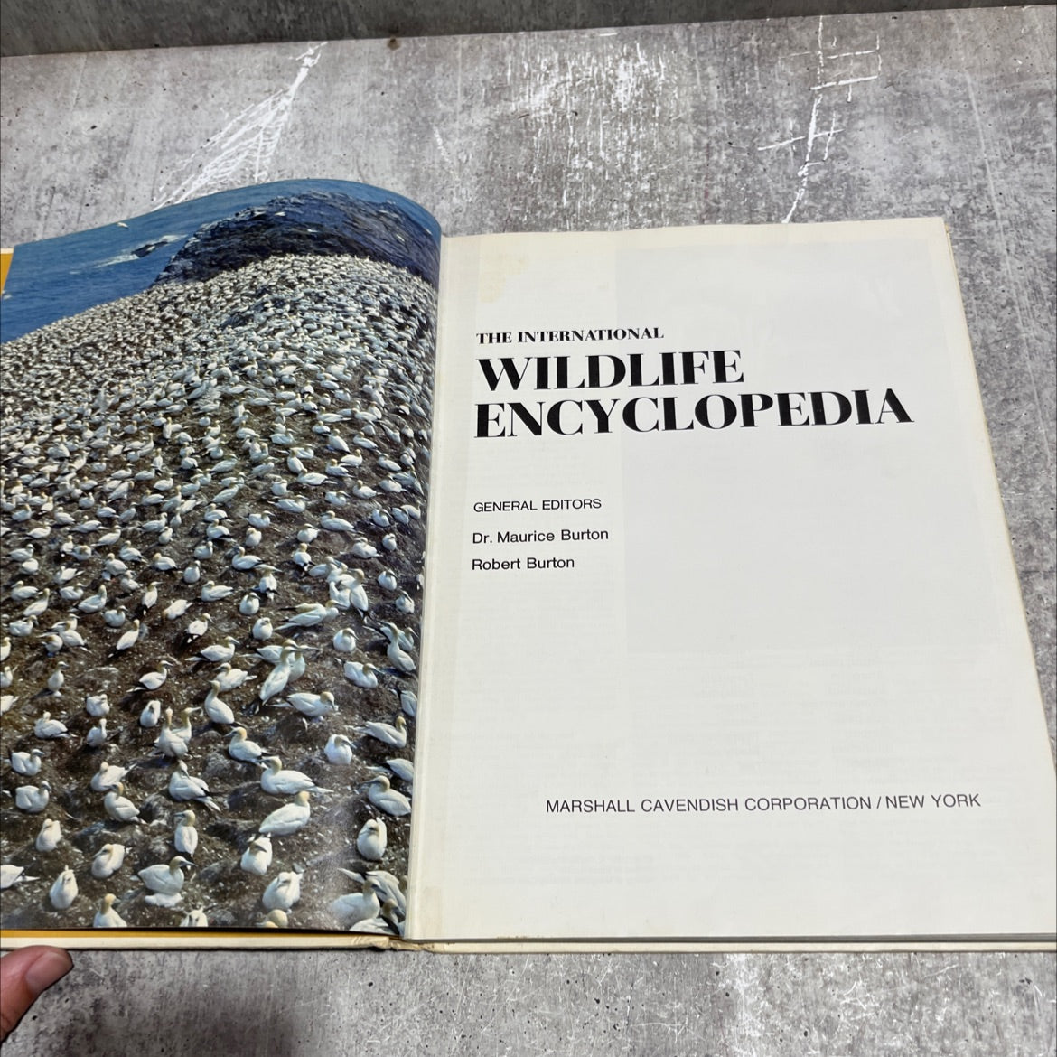 the international wildlife encyclopedia book, by dr. maurice burton, robert burton, 1970 Hardcover image 2