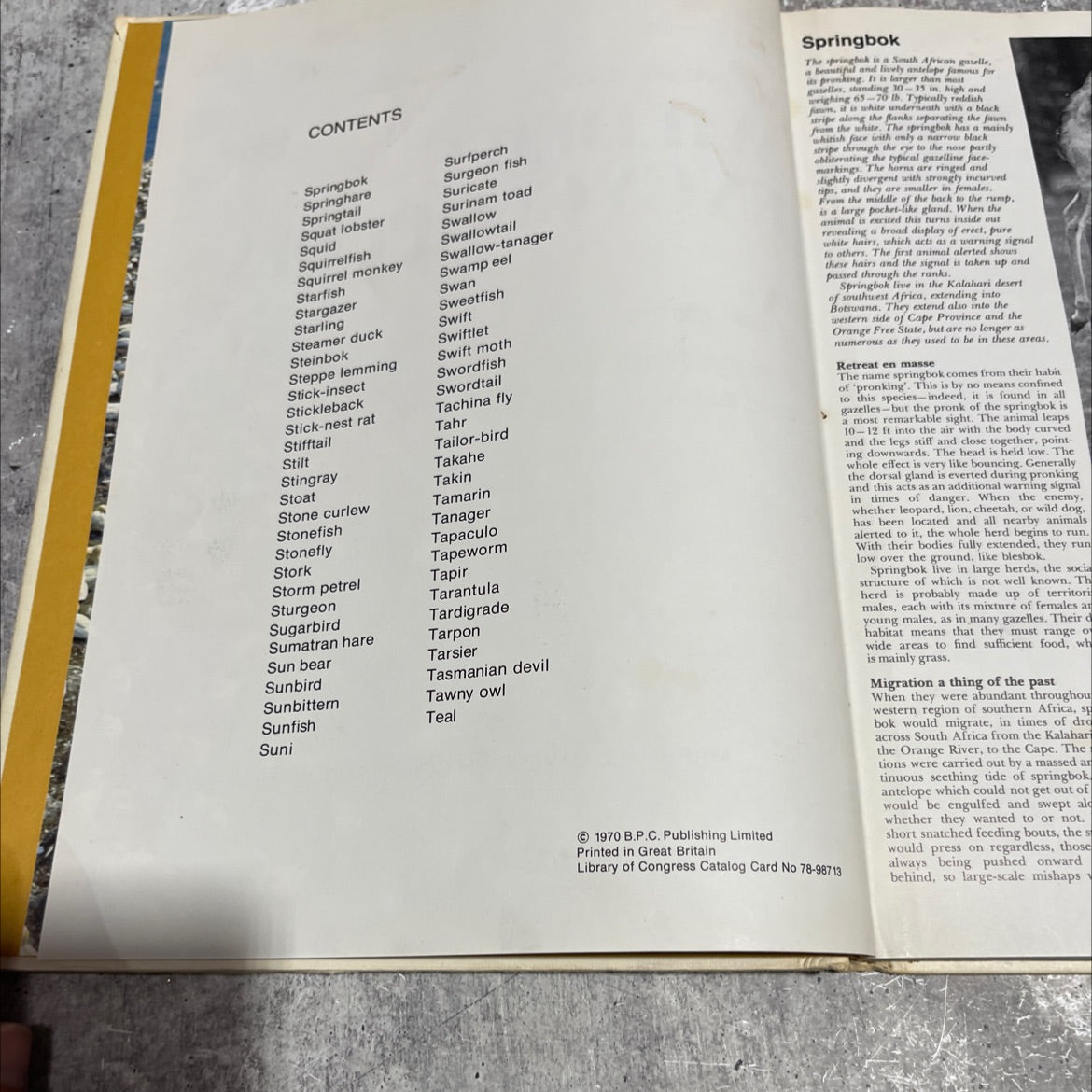 the international wildlife encyclopedia book, by dr. maurice burton, robert burton, 1970 Hardcover image 3