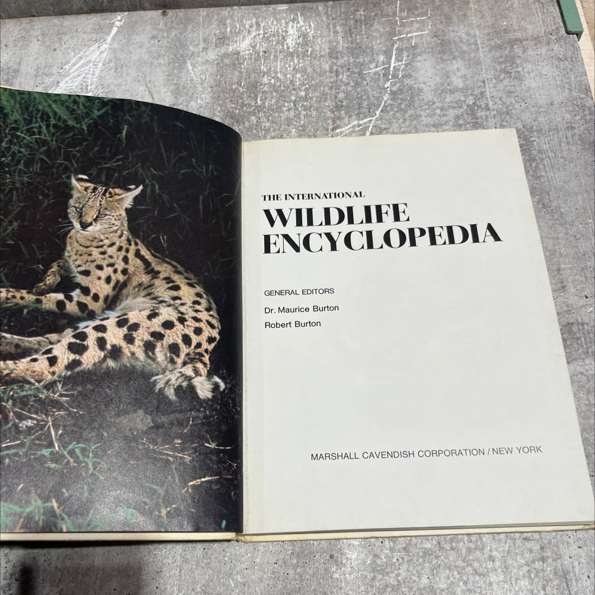 the international wildlife encyclopedia book, by dr. maurice burton, robert burton, 1970 Hardcover image 2