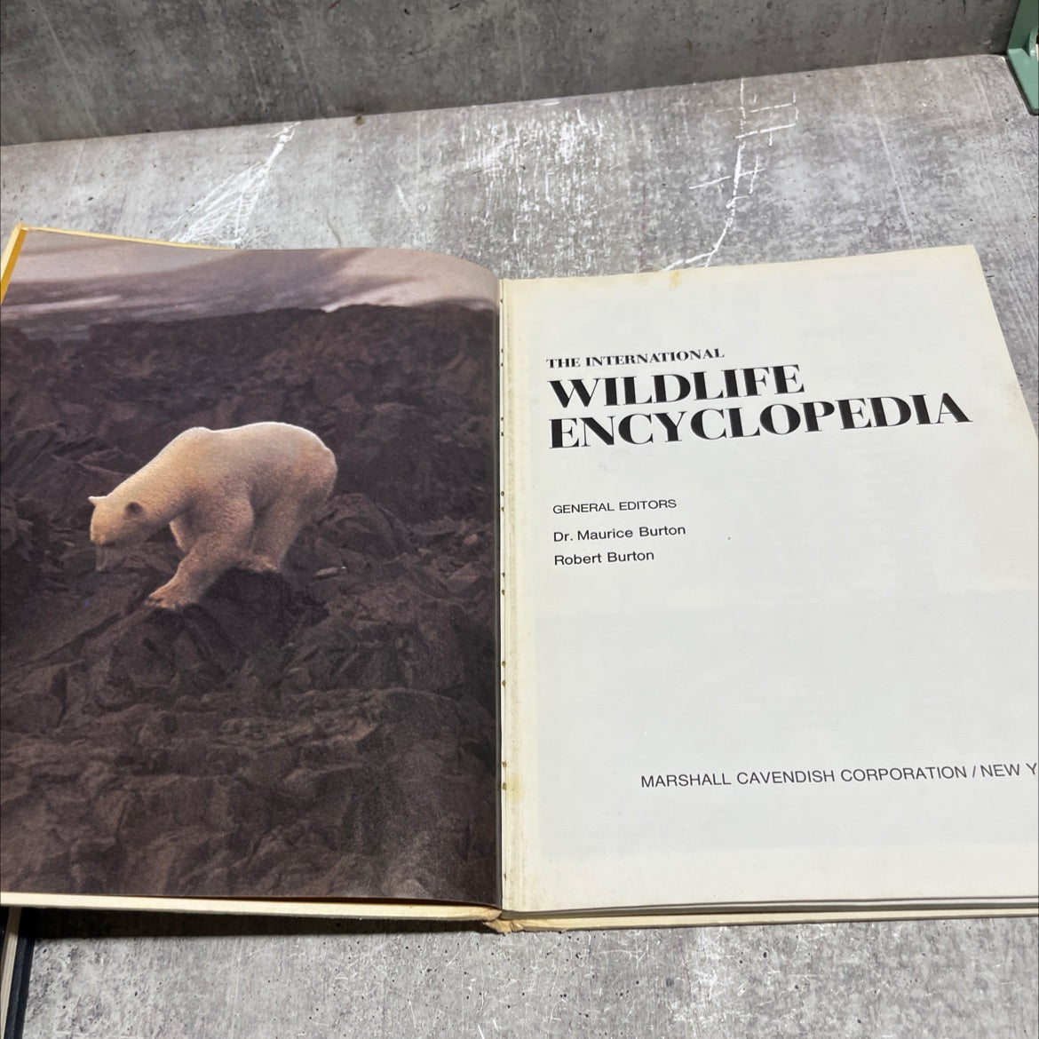 the international wildlife encyclopedia book, by dr. maurice burton, robert burton, 1970 Hardcover image 2