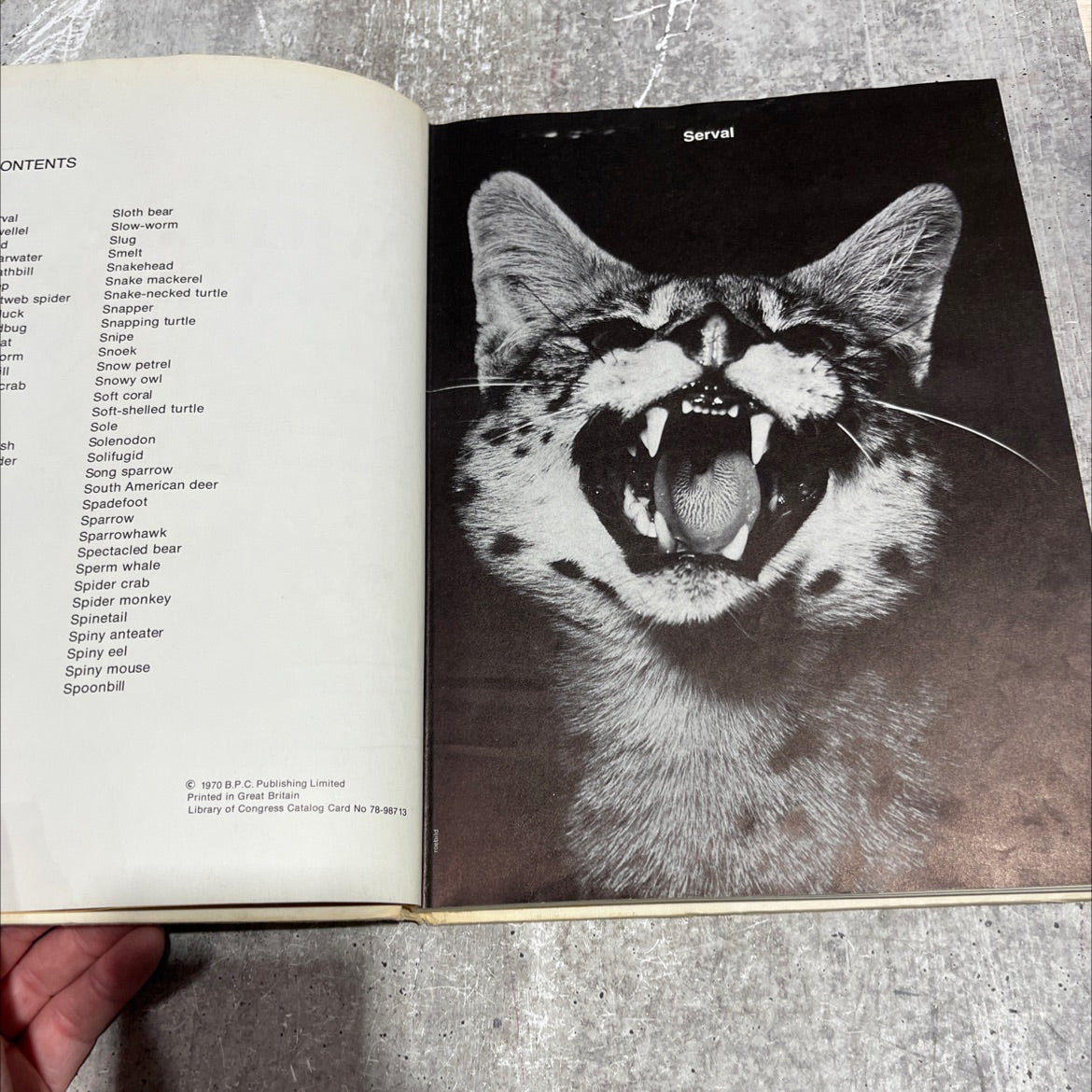 the international wildlife encyclopedia book, by dr. maurice burton, robert burton, 1970 Hardcover image 3
