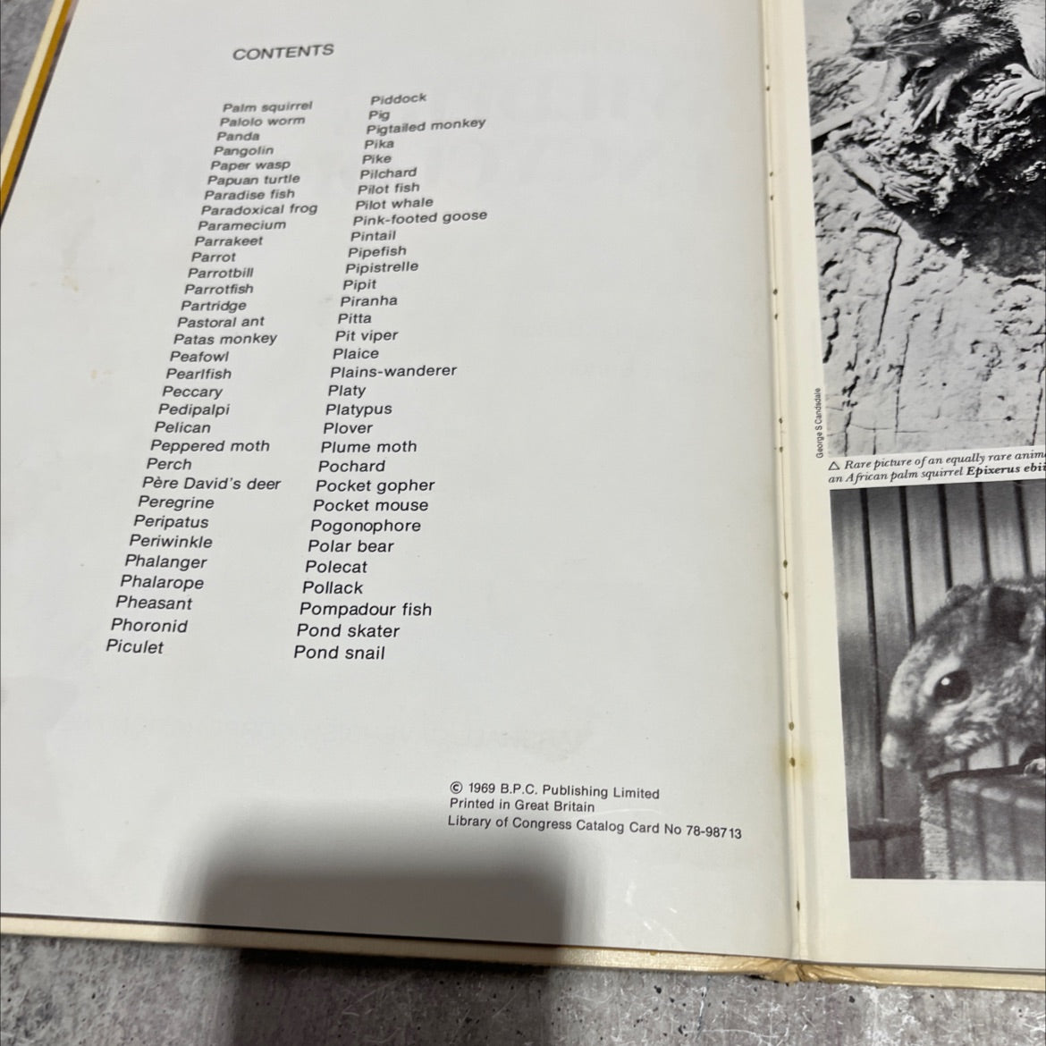 the international wildlife encyclopedia book, by dr. maurice burton, robert burton, 1970 Hardcover image 3