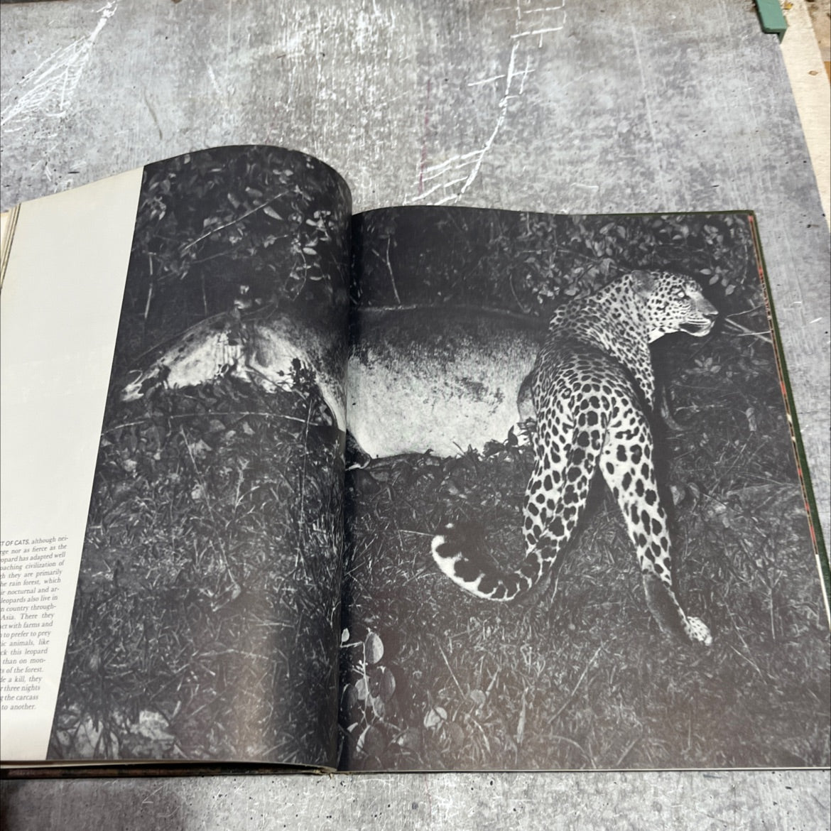 the land and wildlife of tropical asia book, by s. dillon ripley, 1964 Hardcover image 4
