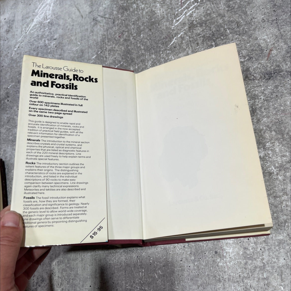 the larousse guide to minerals, rocks and fossils book, by wr.hamilton, a.r. woolley, a.c. bishop, 1980 Hardcover image 4