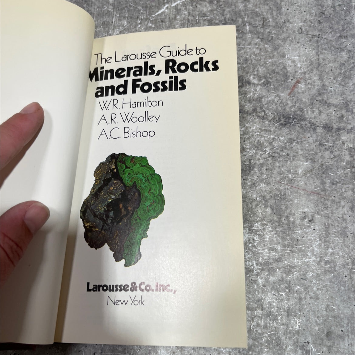 the larousse guide to minerals, rocks and fossils book, by wr.hamilton, a.r. woolley, a.c. bishop, 1980 Hardcover image 2