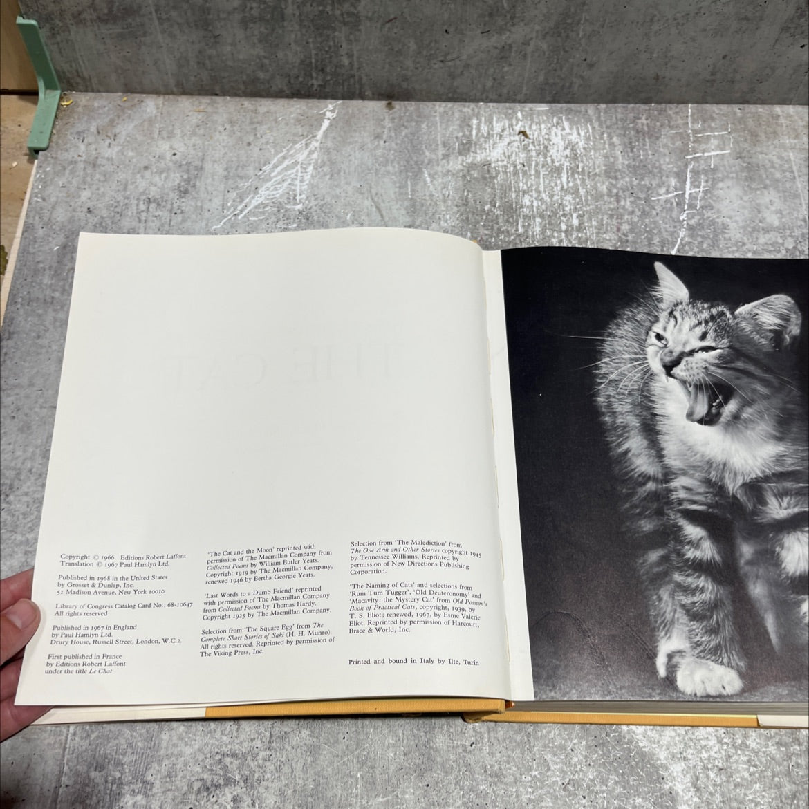 the life, history and magic of the cat book, by fernand mery, 1968 Hardcover image 3