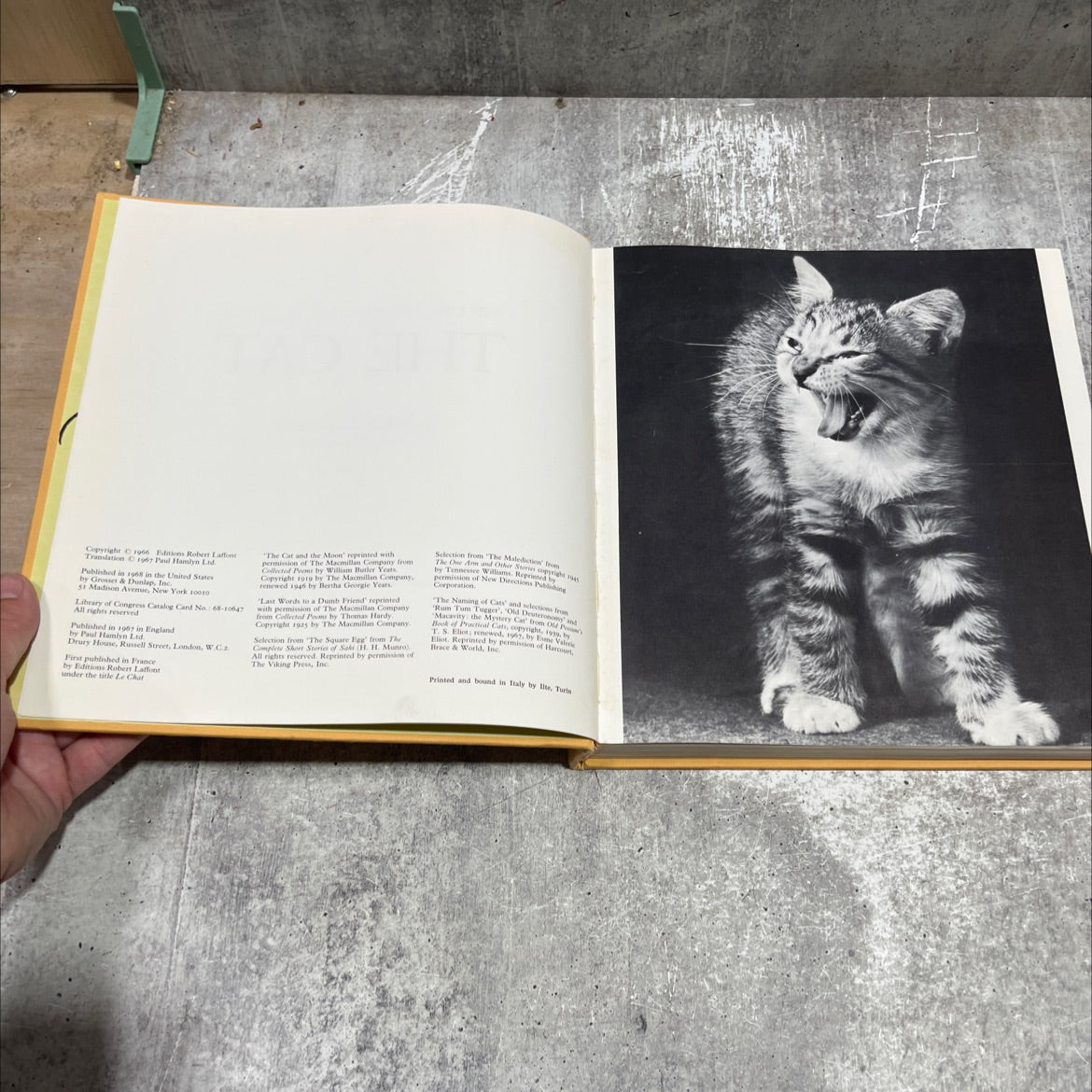 the life, history and magic of the cat book, by fernand mery, 1968 Hardcover image 3