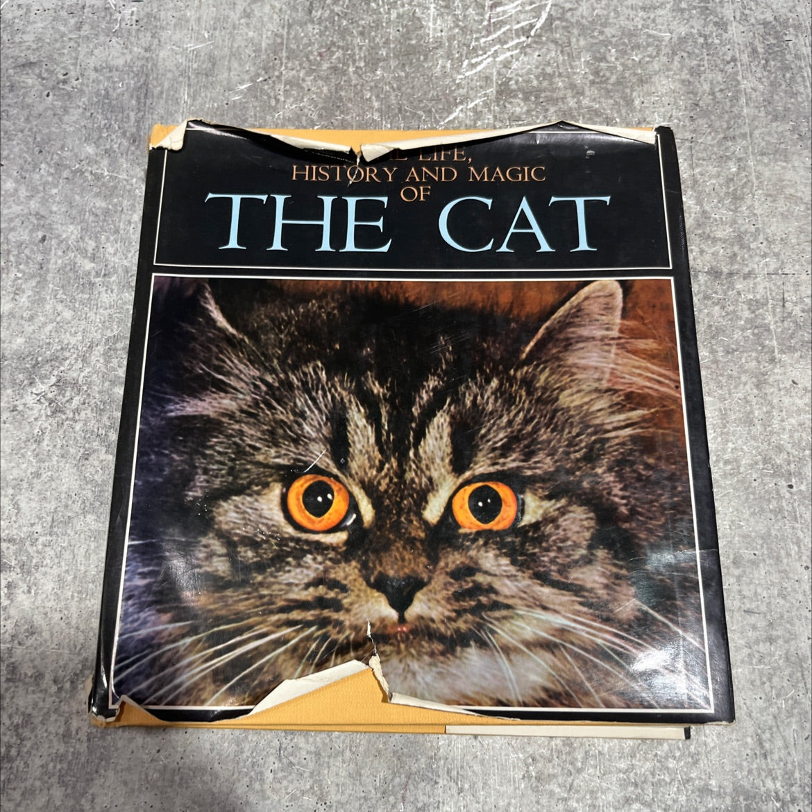 the life, history and magic of the cat book, by fernand mery, 1968 Hardcover image 1