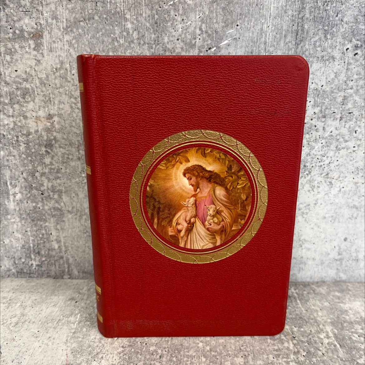 the life of christ our lord's life with lessons in his own words for our life today book, by reverend john p. image 1