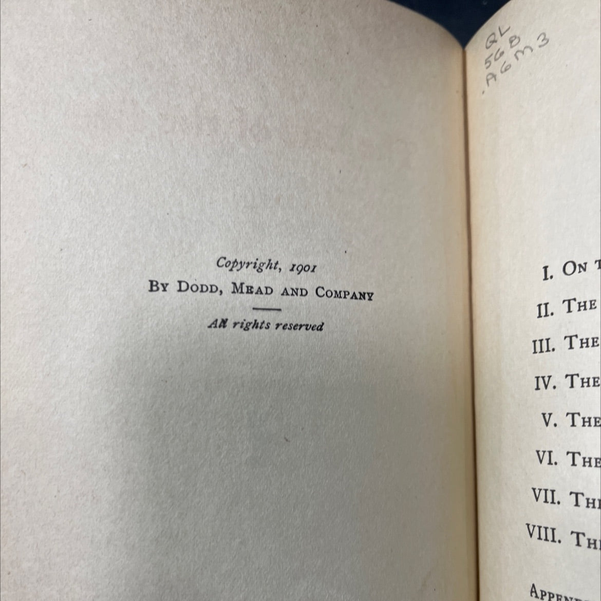 the life of the bee book, by maurice maeterlinck, 1919 Hardcover image 3