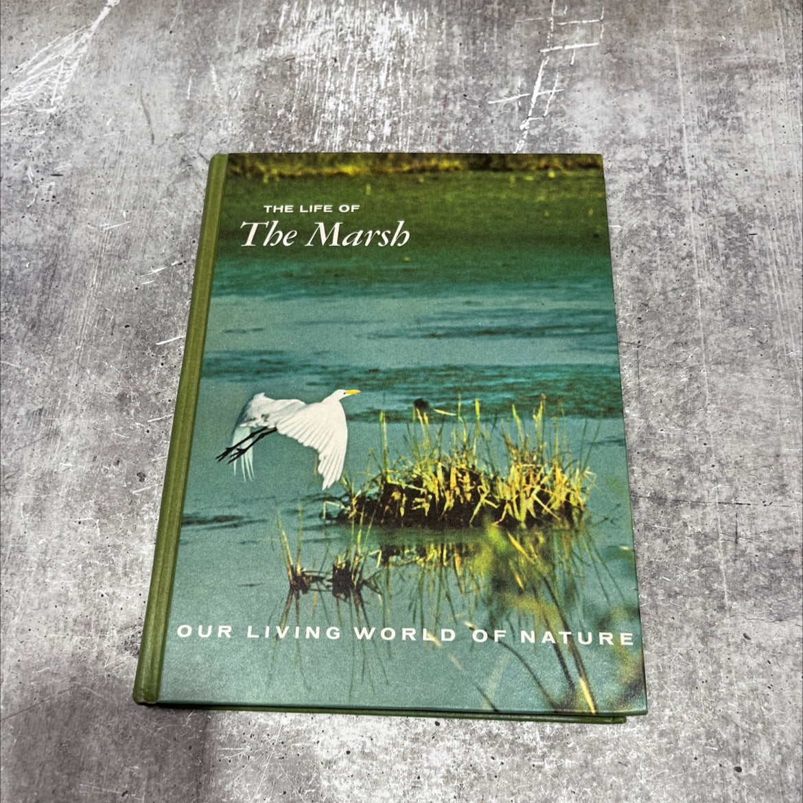 the life of the marsh book, by william a. niering, 1966 Hardcover image 1