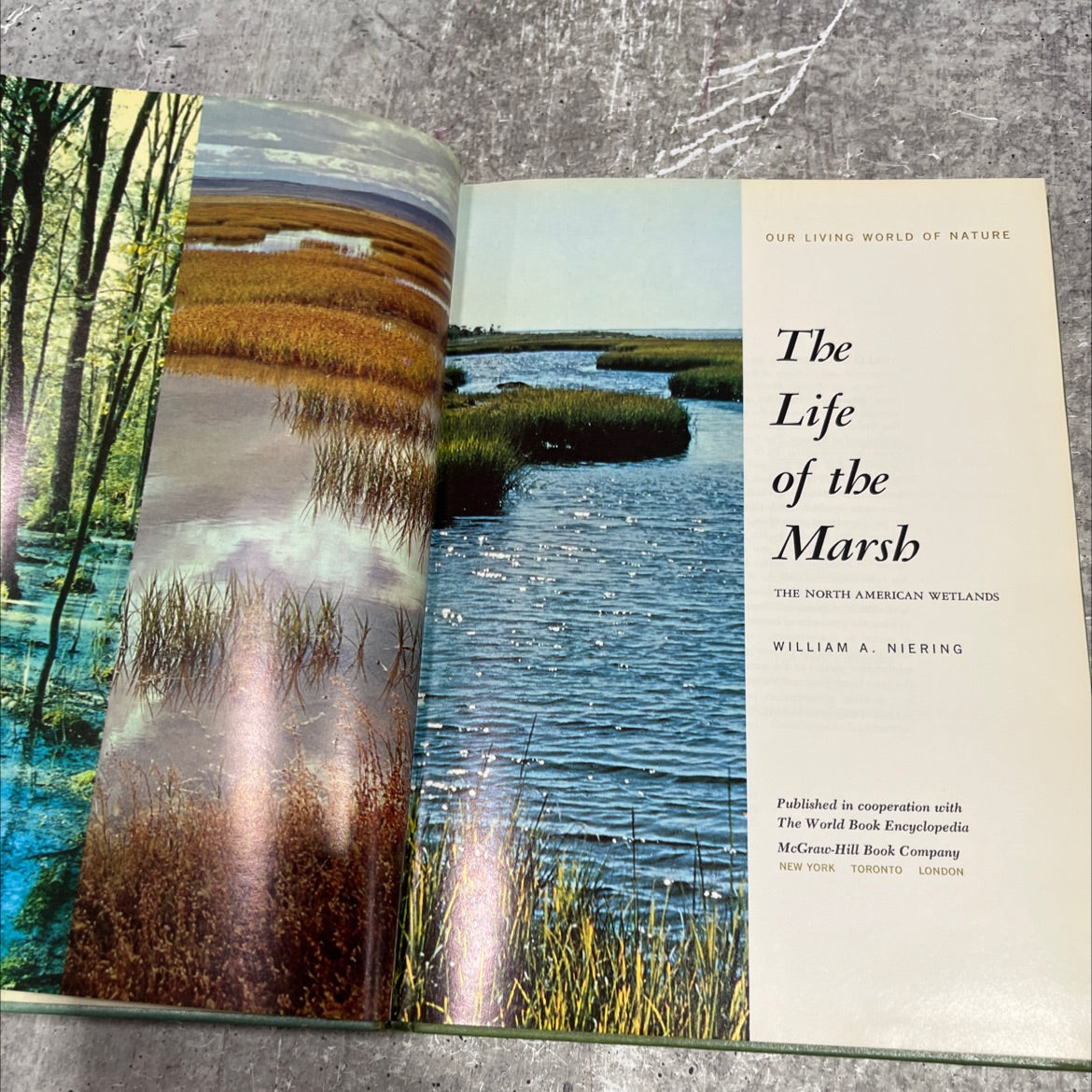 the life of the marsh book, by william a. niering, 1966 Hardcover image 2