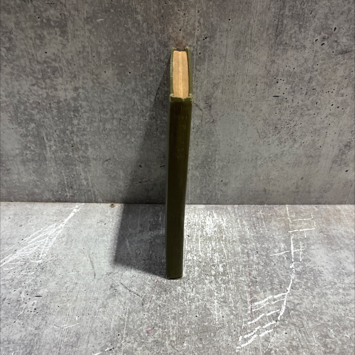 the lost boy book, by jg y benry van dyke, 1914 Hardcover image 4