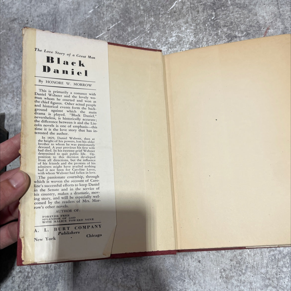 the love story of a great man book, by honoré w. morrow, 1931 Hardcover image 4