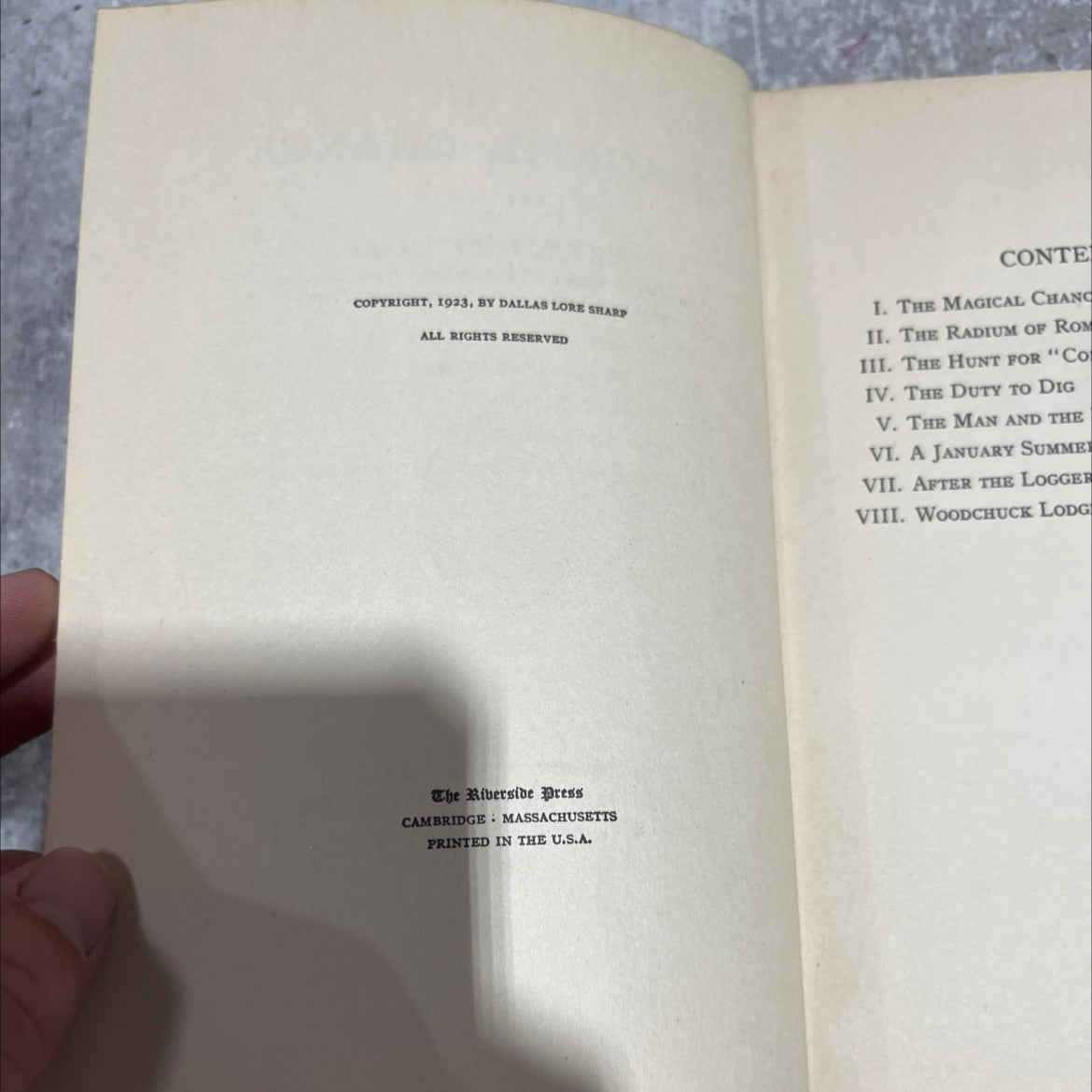 the magical chance book, by dallas lore sharp, 1923 Hardcover image 3