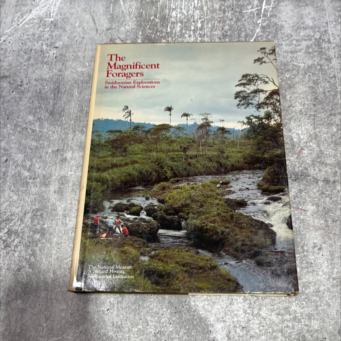 the magnificent foragers book, by unknown, 1978 Hardcover image 1