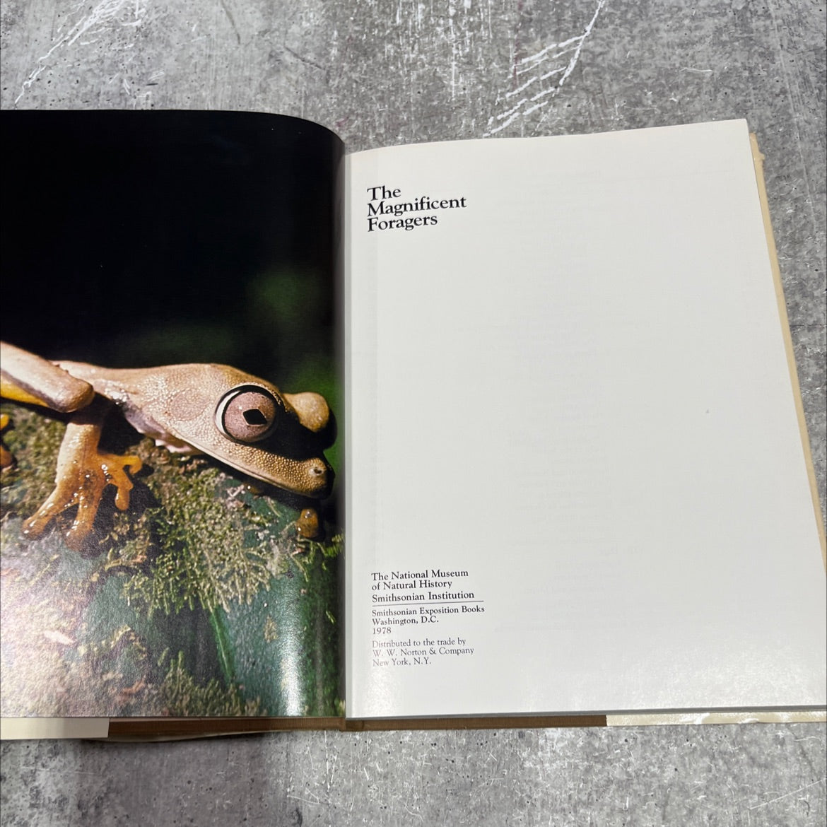 the magnificent foragers book, by unknown, 1978 Hardcover image 2