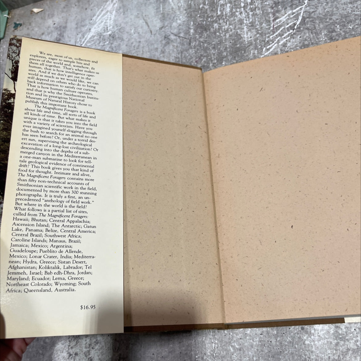 the magnificent foragers book, by unknown, 1978 Hardcover image 4