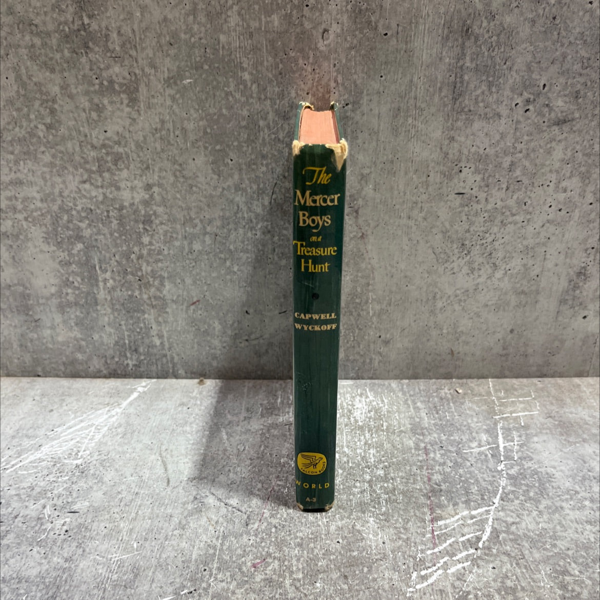 the mercer boys on a treasure hunt book, by capwell wyckoff, 1948 Hardcover image 4