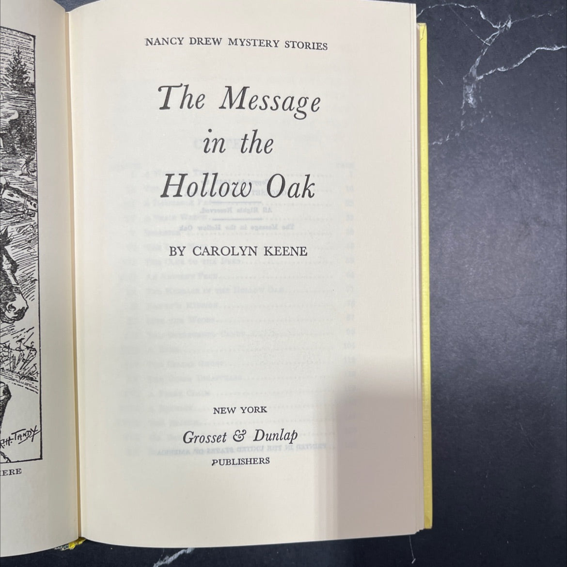 the message in the hollow oak book, by carolyn keene, 2018 Hardcover image 2
