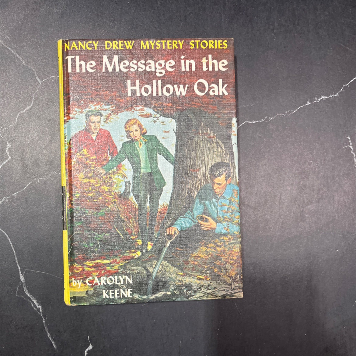 the message in the hollow oak book, by carolyn keene, 2018 Hardcover image 1