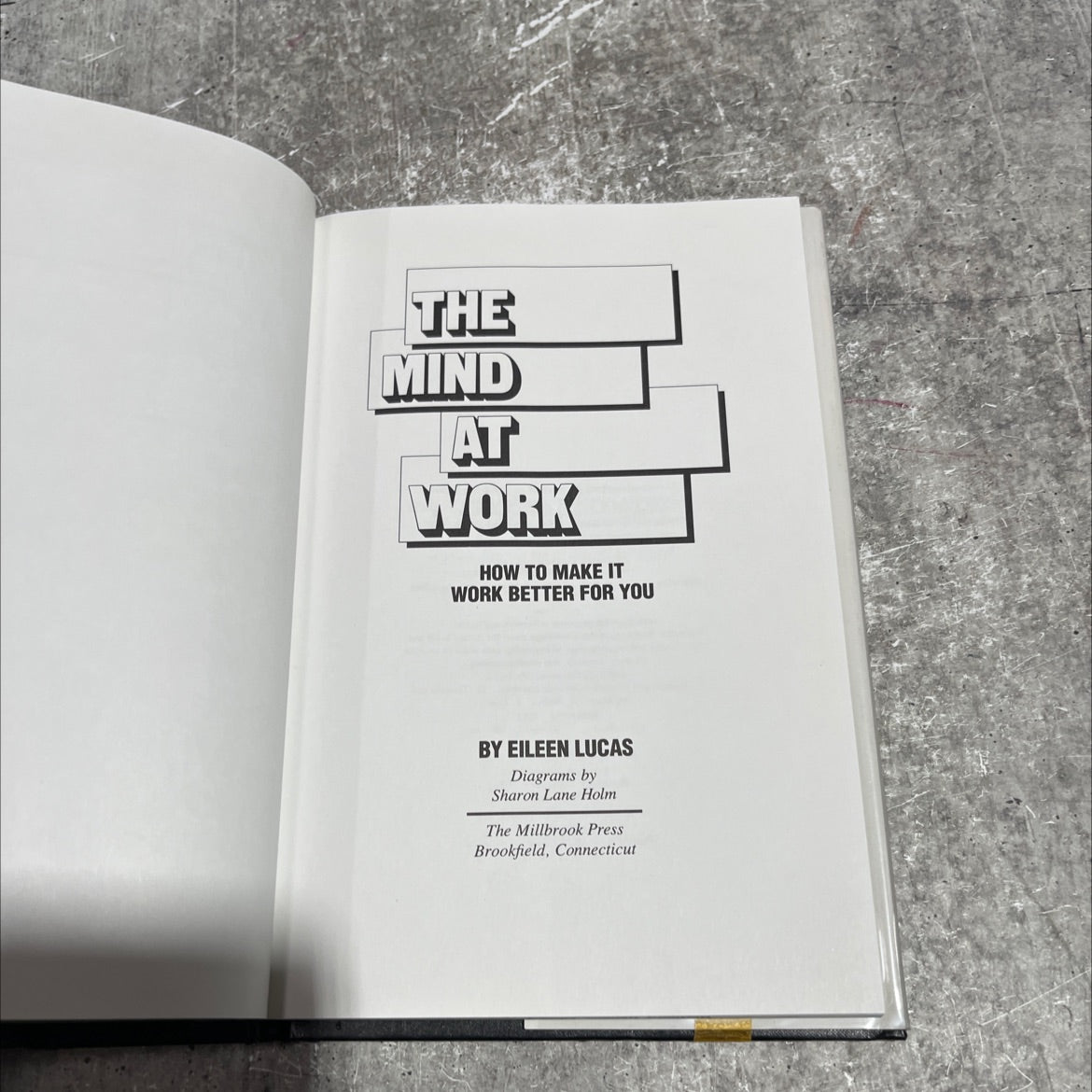 the mind at work how to make it work better for you book, by Eileen Lucas, 1993 Hardcover image 2