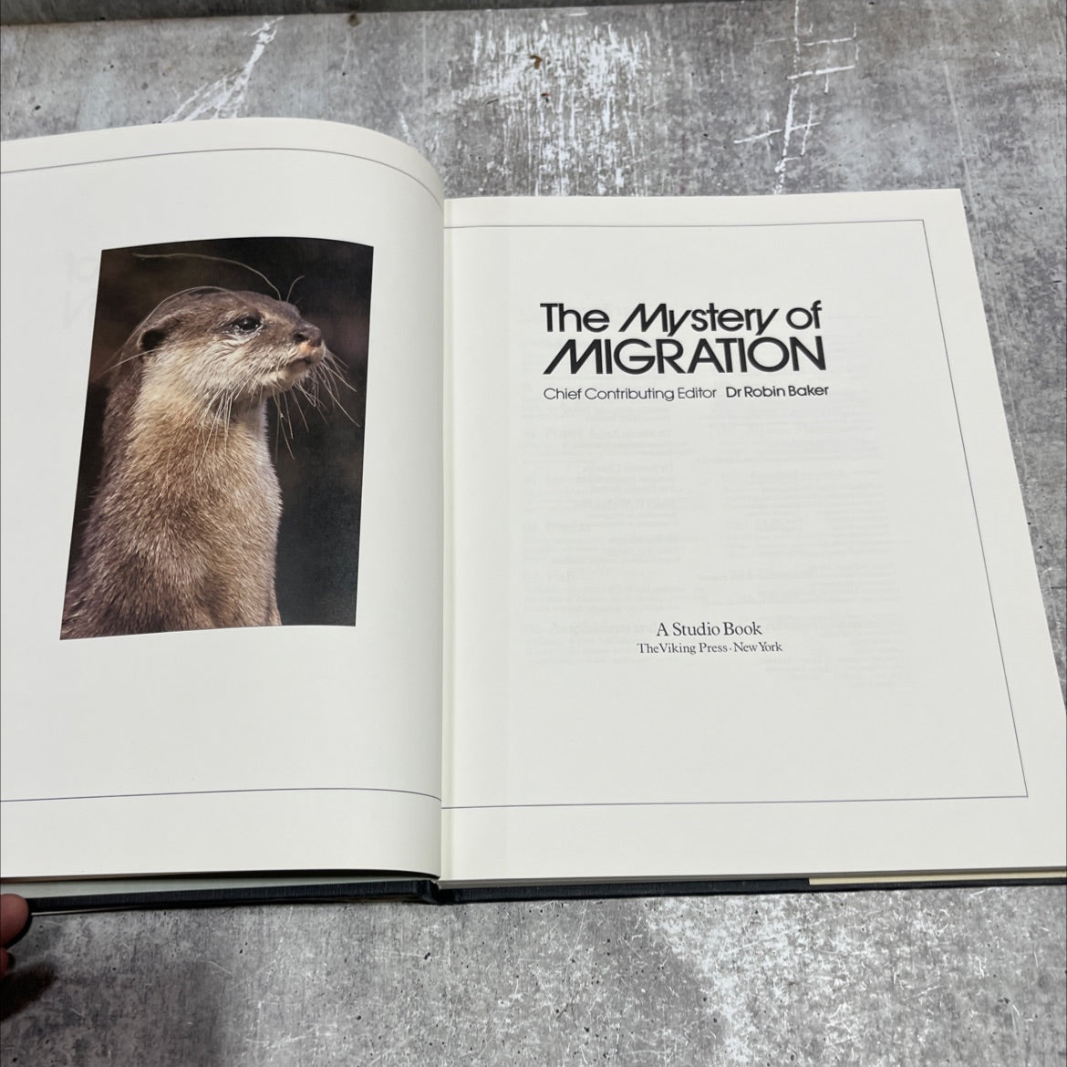 the mystery of migration book, by dr robin baker, 1981 Hardcover image 2