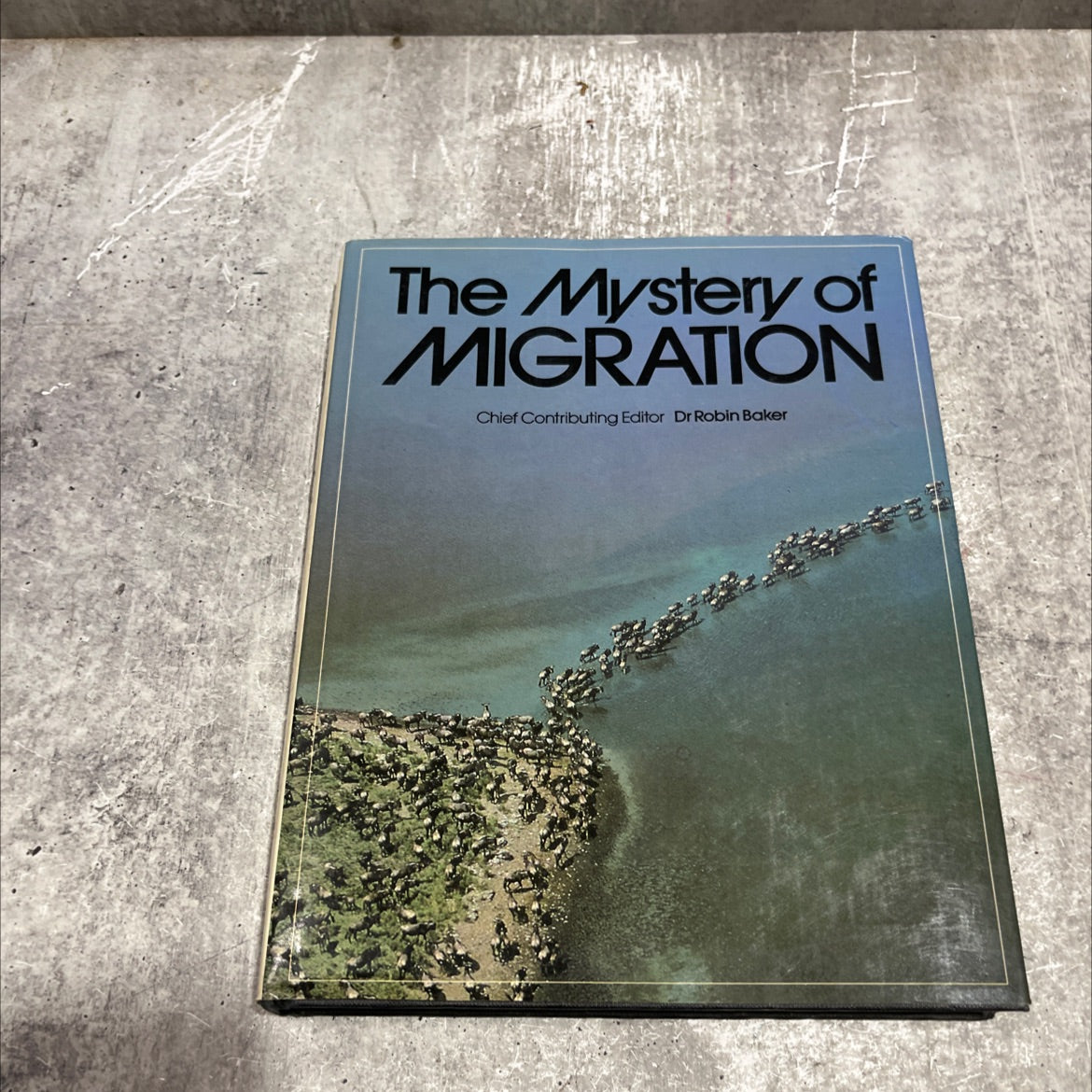 the mystery of migration book, by dr robin baker, 1981 Hardcover image 1