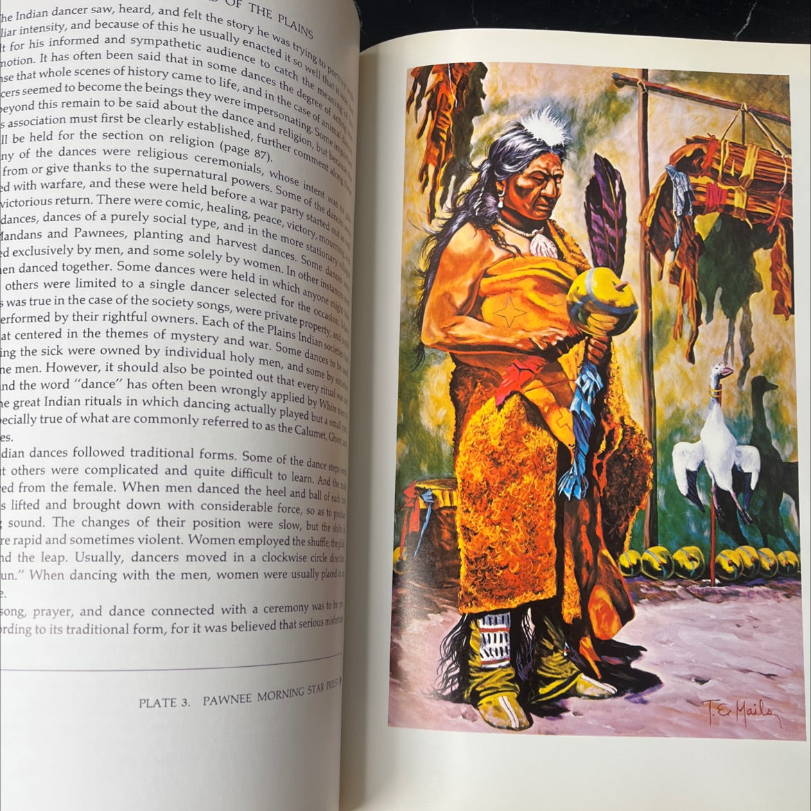 the mystic warriors of the plains book, by Thomas E. Mails, 1972 Hardcover, Vintage image 4