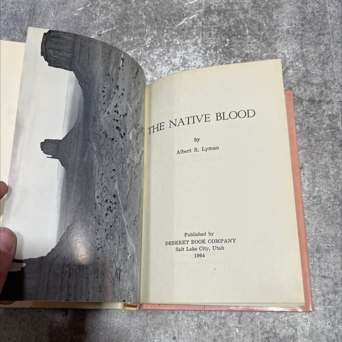 the native blood book, by albert r. lyman, 1964 Hardcover image 2