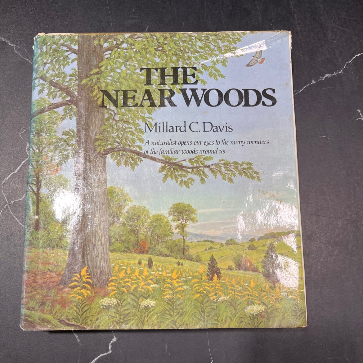 the near woods book, by Millard C. Davis, 1974 Hardcover image 1