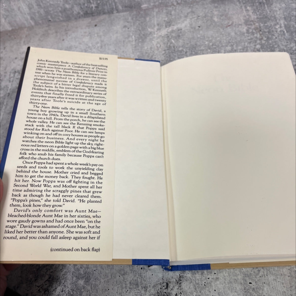 the neon bible book, by john kennedy toole, 1989 Hardcover image 4