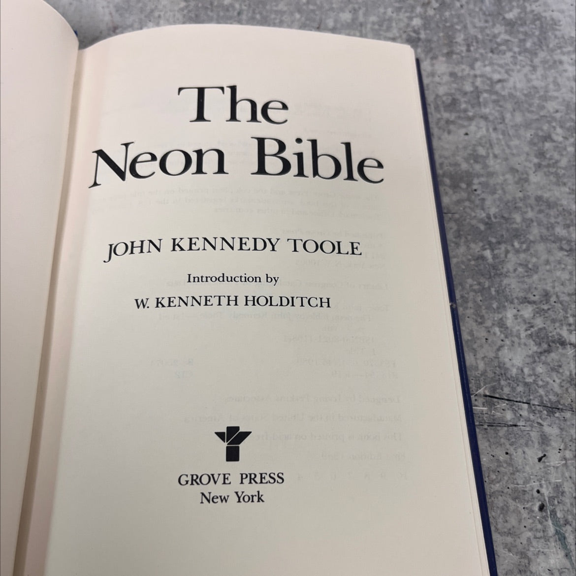 the neon bible book, by john kennedy toole, 1989 Hardcover image 2