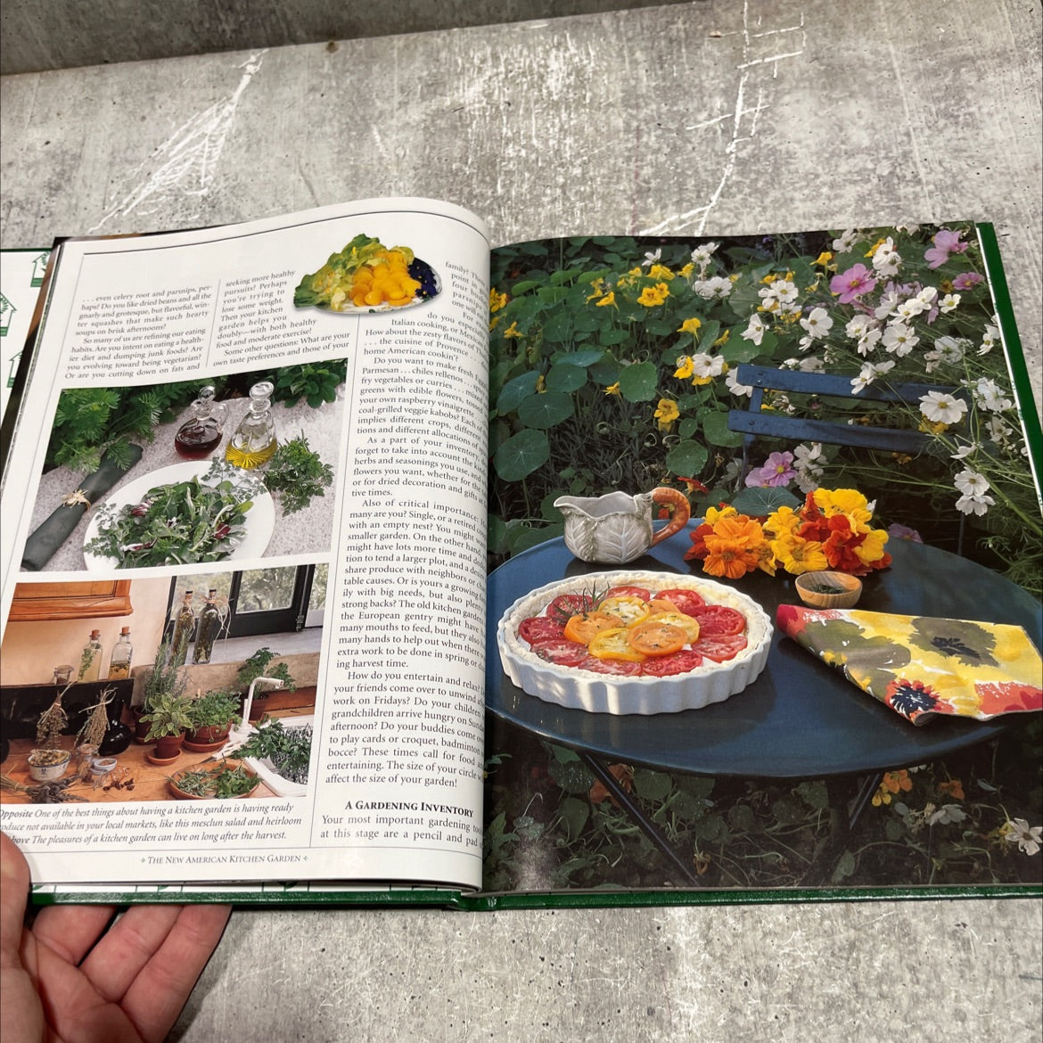the new american kitchen garden book, by shepherd ogden, 1997 Hardcover image 4