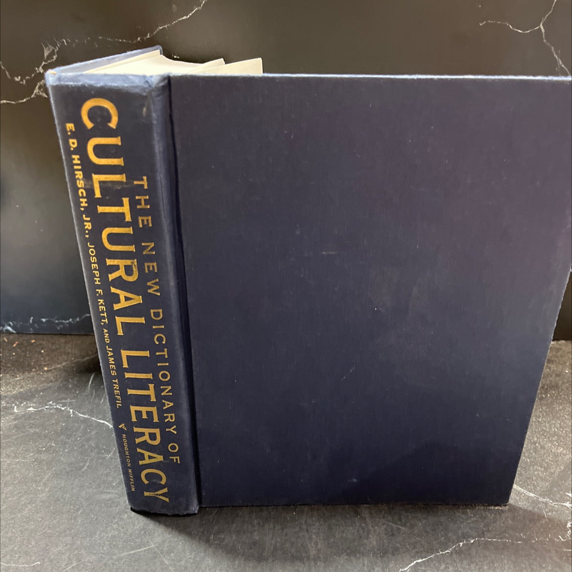 the new dictionary of cultural literacy book, by e. d. hirsch, jr., joseph f. kett, james trefil, 2002 Hardcover image 1