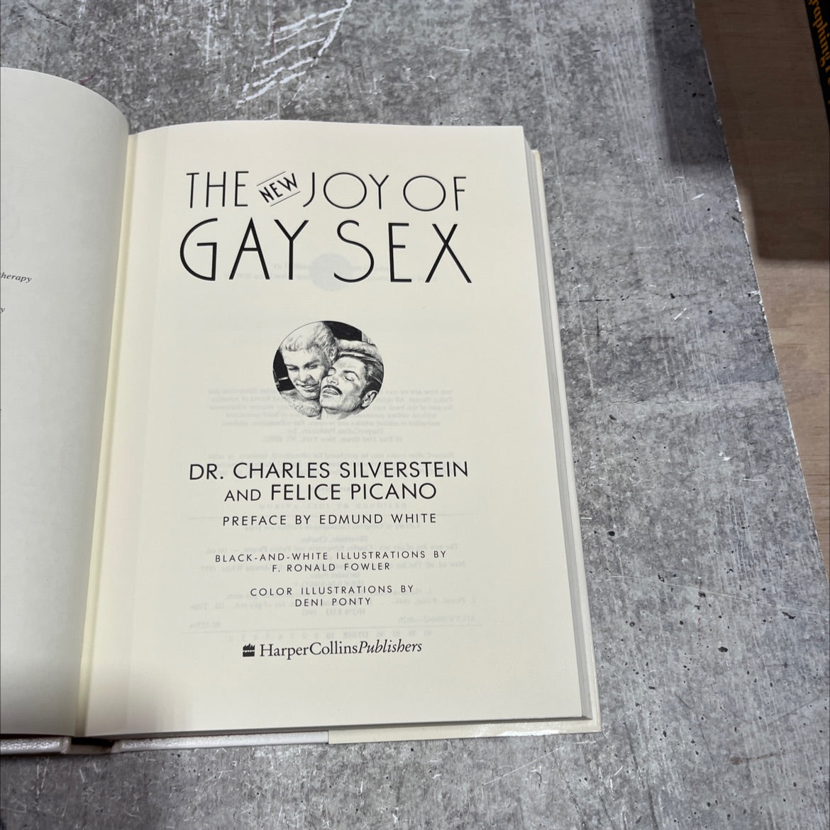 the new joy of gay sex book, by dr. charles silverstein and felice picano, 1992 Hardcover image 2