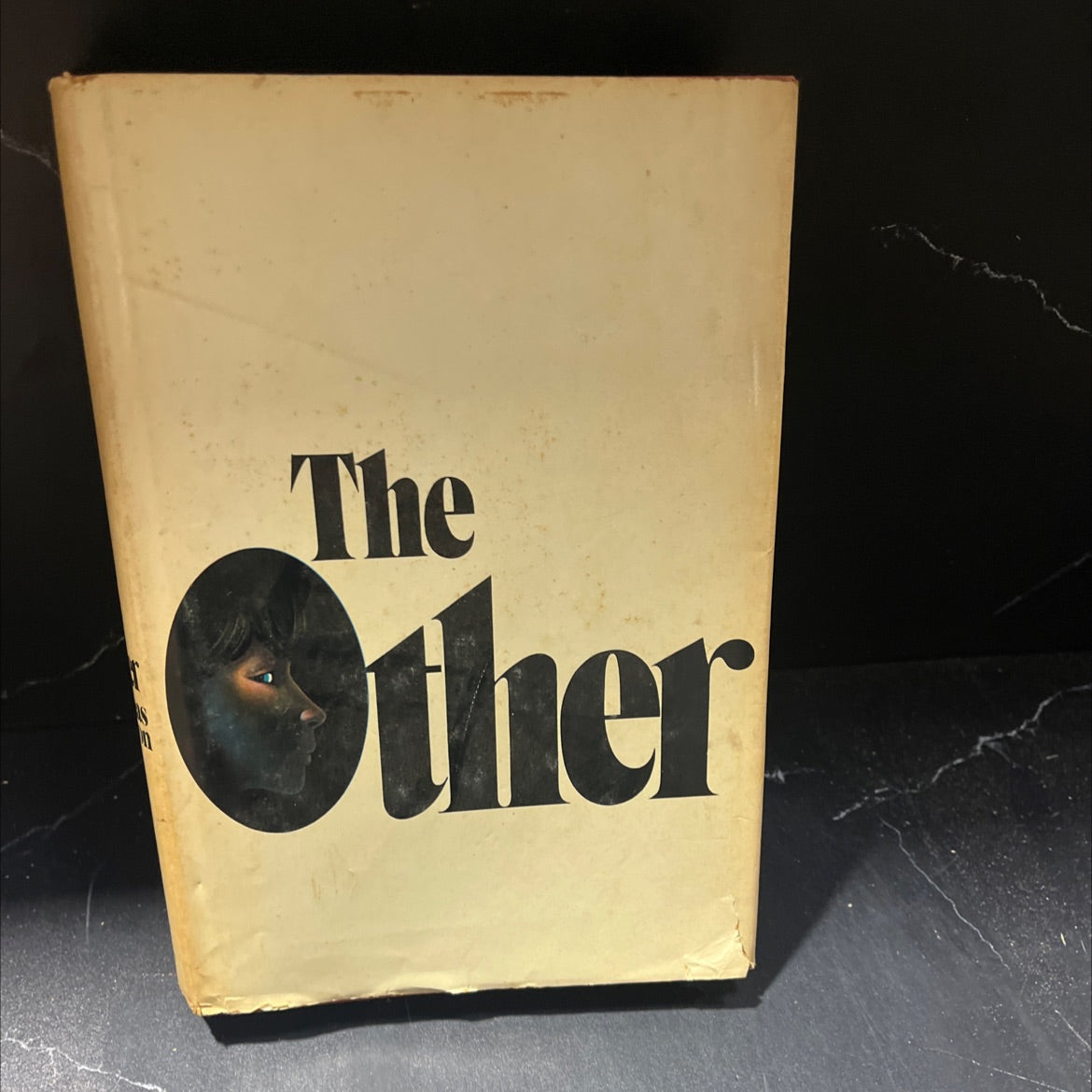 the other book, by Thomas Tryon, 1971 Hardcover image 1